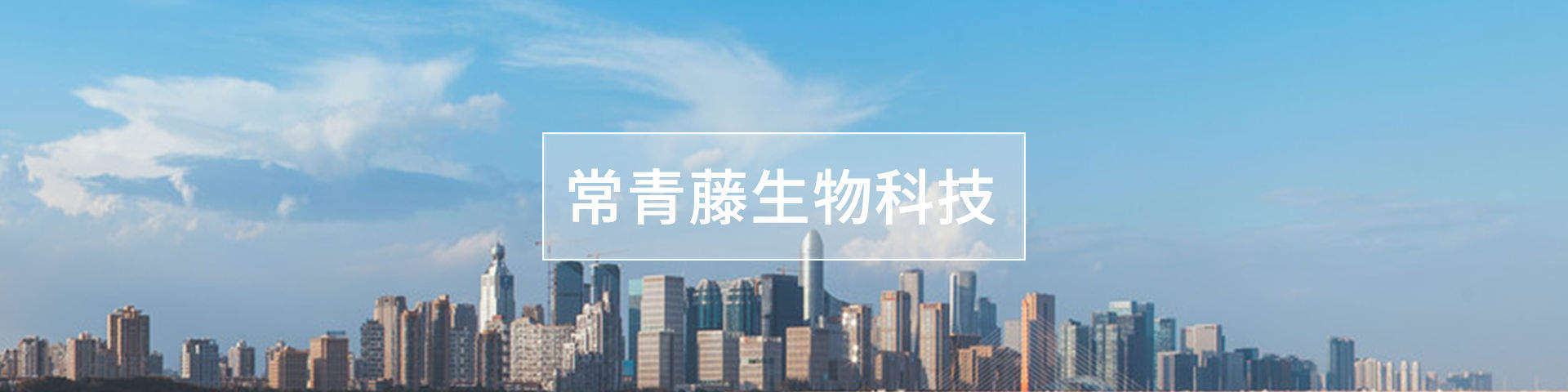 常青藤健康方案,葡萄藍(lán)莓粉健康方案