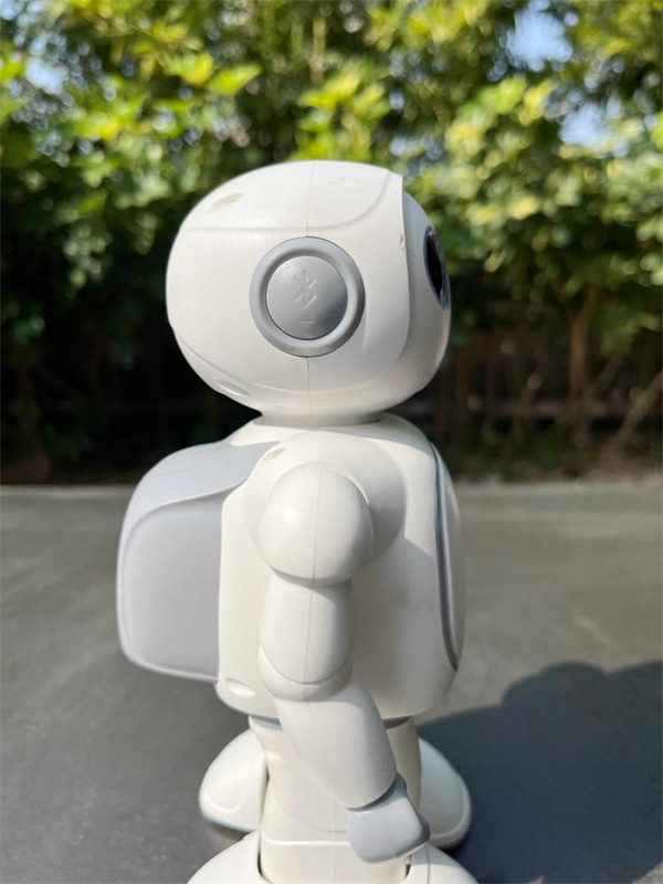 教育機(jī)器人右側(cè)