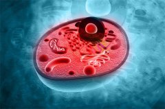 美國細(xì)胞營養(yǎng)液的功效有哪些?